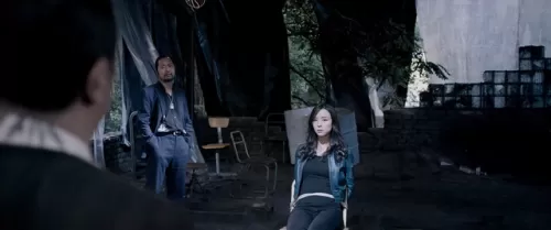 The Adventurers Movie Download (2017) Dual Audio [Hindi ORG & Chinese] WEB-DL – 480P | 720P | 1080P GDrive & Watch – Action – Flixmet.com